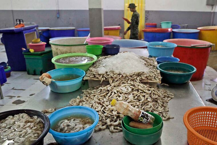 Shrimp are abandoned on a peeling table during a raid on the shrimp shed in Samut Sakhon, Thailand.. (AP Photo/Dita Alangkara)