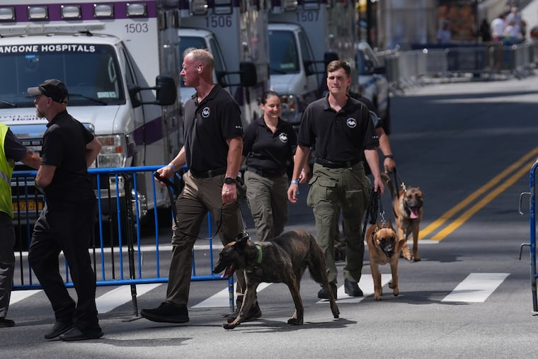 K-9's walk into Madison Square Garden ahead of the wedding between pop star Taylor Swift and National Football League player Travis Kelce on Thursday, July 2, 2026, in New York.