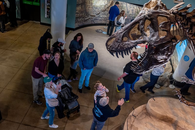 Thread Up Icon Philadelphia shouldn’t give up on the Academy of Natural Sciences ...