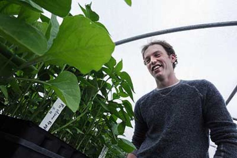 Landon Jefferies on the farm he operates with Lindsey Shapiro in Berks County. "And as long as we're eating and not like going into debt," he says, "that's good."