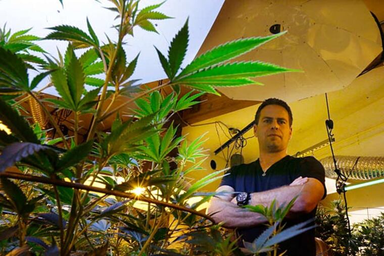 Brent Miller in a grow room of his medical-marijuana operation in Seattle. Among state proposals governing retail sales: Track the product from "seed to store." (AP)
