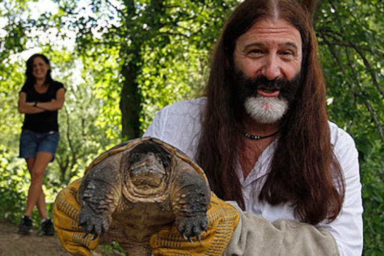 WMMR's Pierre Robert makes his way to the schuylkill River to release the snapping turtle he rescued 14 months ago. He named the turtle Thomas. (Michael S. Wirtz / Staff Photographer)