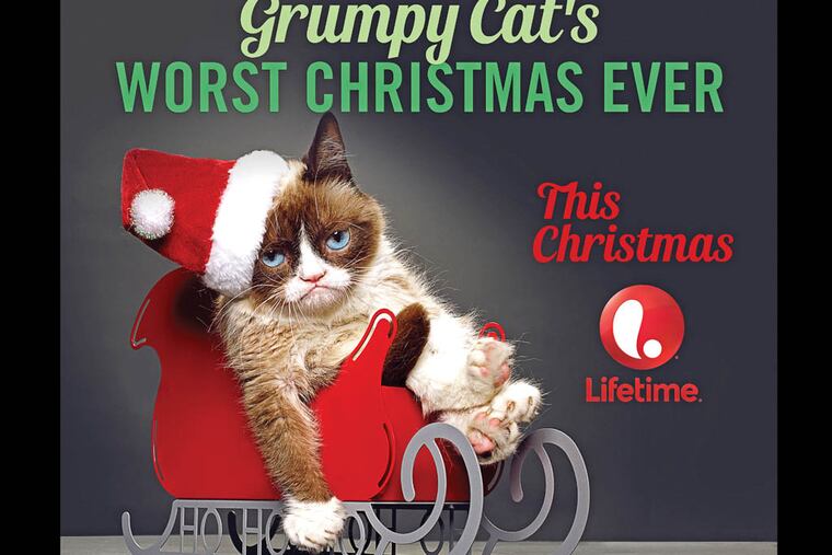 According to The Hollywood Reporter a live-action project featuring the cat called "Grumpy Cat's Worst Christmas Ever," will shoot during the Summer of 2014. (AP Photo/Lifetime)