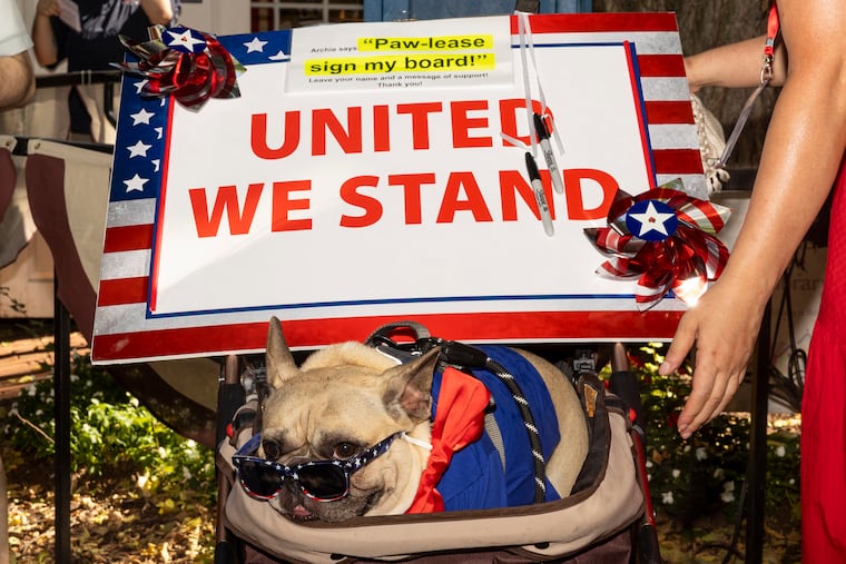 Archie, 5, waits at the Patriot Pet Show at the Betsy Ross House in Old City, Philadelphia before the contest begins.