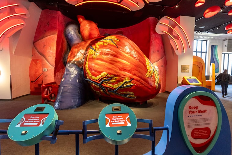 The Giant Heart in the Body Odyssey exhibit at the Franklin Institute in Philadelphia.
