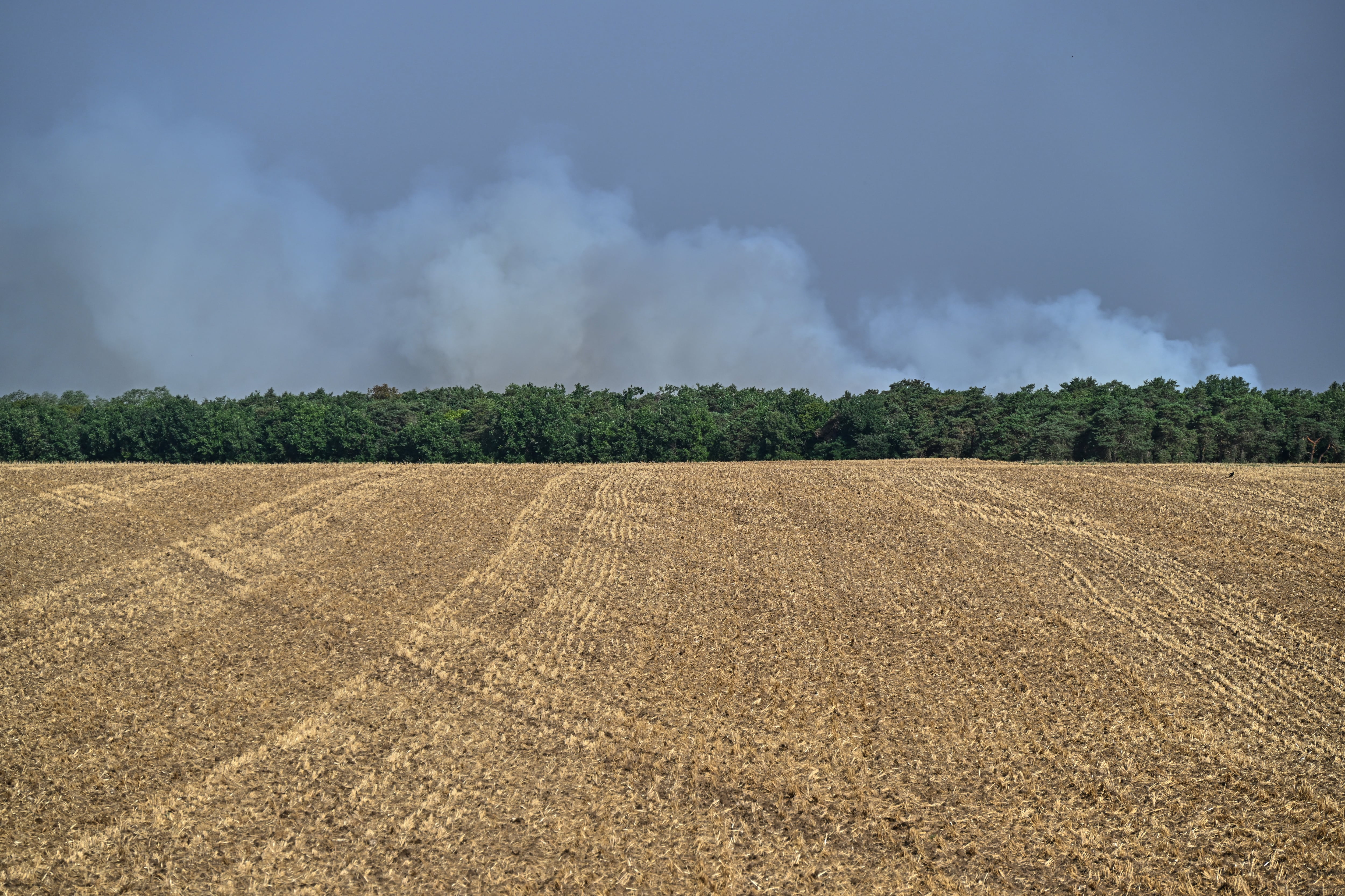 Fire in Fontainebleau forest near Paris triggers evacuations, disrupts trains and highway
