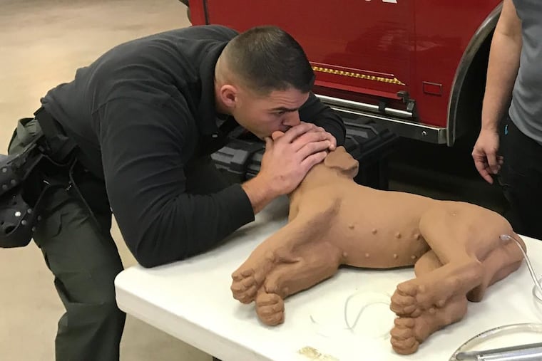 Whitemarsh Police Officer Matthew Stadulis practices mouth-to-mouth on a dummy dog at a Canine Emergency Care class held for officers who partner with service dogs at Gladwyne Fire Company.