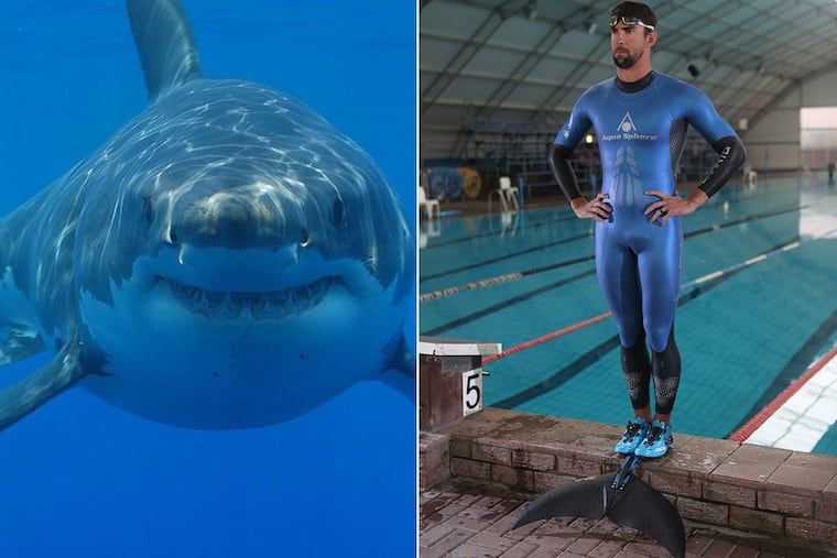 The competitors .Only one is an Olympian.