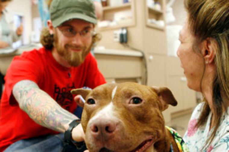 Rosie changes hands. Lisa Passaro of Rothman Animal Hospital turns her over to Michael Armine, one of her new owners.