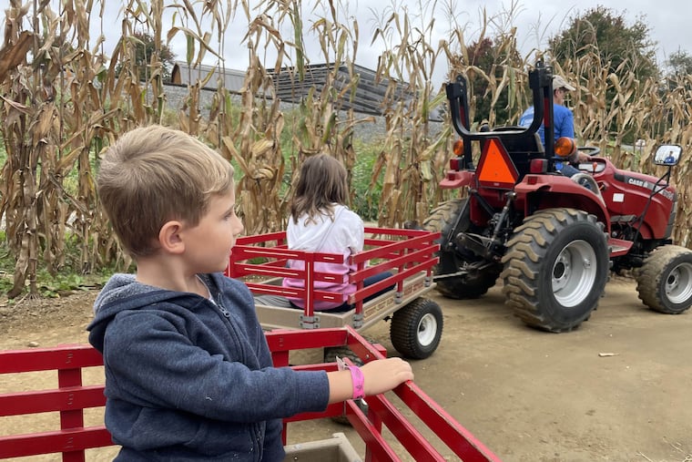Climb aboard the Lil Wagon Express at Cherry Crest Adventure Farm.
