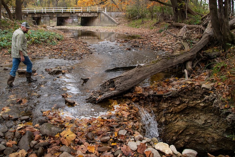 Joe Baylog, president of the Forks of the Delaware Chapter of Trout Unlimited, stands in the Little Bushkill Creek near Easton, Pa. He believes a nearby cement plant has been making the area's sinkhole problem worse, and is causing the creek to dry up.