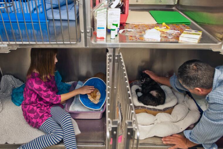 Brian Coffee pets Princess while his daughter Madison comforts Charlie in the recovery area. (Ron Tarver/Staff Photographer)