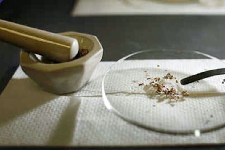 Samples scraped from an Egyptian clay jar, believed to be more than 5,000 years old, suggest an array of medicinal herbs had been steeped in wine: Coriander, senna, balm, savory, and more. It's unclear what diseases the herbs may have been used for. (Eric Mencher / Staff Photographer)