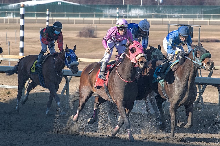 Thoroughbred horses race during a March 2021 race at the Parx Racing track facilities in Bensalem, PA. The Pennsylvania horse racing commission on Tuesday put out a plan to reduce deaths at thoroughbred tracks.