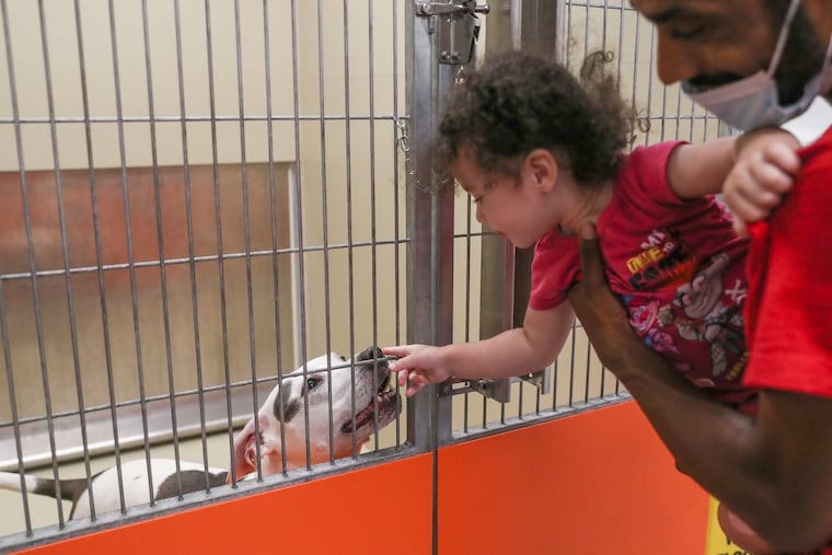 Autumn, 1, is held by Brian Martin, 31, while she meets her family’s new dog at ACCT Philly on Saturday. The shelter was hosting a pet adoption event.