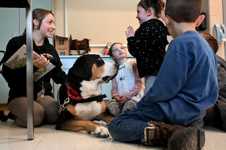 SMILE (Silent Mentors In Literacy Education) program teacher Jordyn Glick (left) works with therapy dog Hope and first graders (from left) Emily Glick, 6; Aubrey Stevens, 7; Hutch Helsabeck, 7; and Anthony Fedele (partially hidden), 6, at H. A. Marsh Elementary School in Absecon Jan. 9. Glick is also a certified pet therapy handler. Superintendent Daniel Dooley started the program at the school with two Swiss Mountain dogs, and a bill modeled after their program is in the legislature that would establish a three-year pilot program for other New Jersey elementary schools.