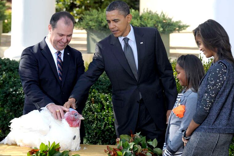 President Obama pets "Apple," the National Thanksgiving turkey at a ceremony on Nov. 24 with National Turkey Federation chairman Yubert Envia (left) and daughters Sasha (second from right) and Malia. A GOP aide criticized the girls' appearance.