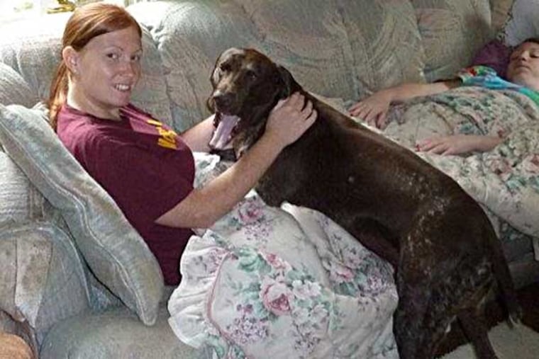 Dutch, a German shorthaird pointer, spends time with his owner's daughter Kate Cush. Dutch was fatally stabbed in the neck on a walking path at Pennypack Park.
