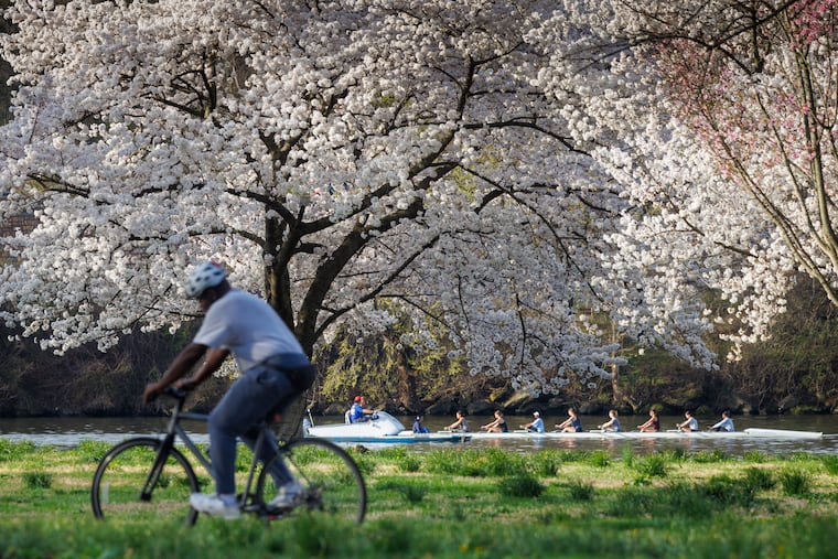 Cyclist and rowers on the Schuylkill River alongside Kelly Drive in Philadelphia partake of a quite warm Wednesday.