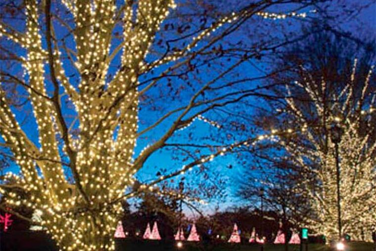 Holiday activities include Christmas lights.