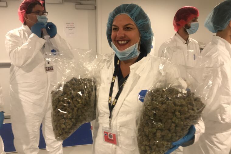 Chris Visco, Pennsylvania's "Queen of Cannabis," took a tour of the iAnthus marijuana grow in North Las Vegas in mid-November. Here she holds two bags of flower. Asked how much that represented in sales at her TerraVida shops, she quipped, "Not even a week."