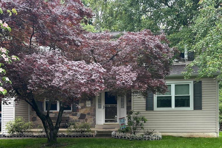 This house had everything a kid could want to learn how to get along with people and love Philadelphia sports.