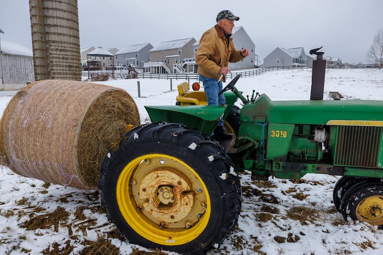 Gary Smith, former dairy farmer and CEO of the Chester County Economic Development Council, moves a bale of hay to feed cows at his family farm south of Downingtown.