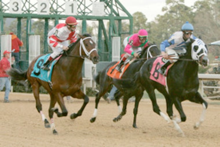 Favorite Hard Spun and jockey Mario Pino (at left) leave the starting gate. Hard Spun finished fourth in yesterday's Southwest Stakes.