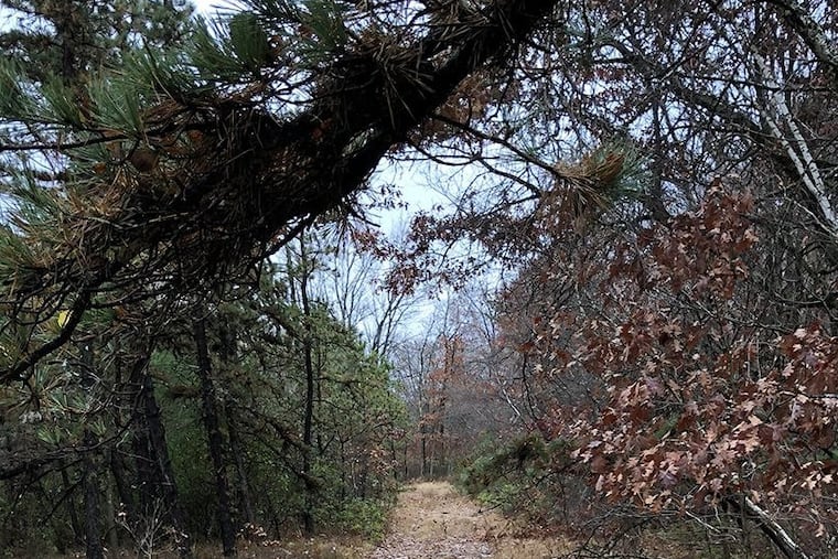 Natural Lands has acquired the former Pocono Drag Lodge in Bear Creek, Luzerne County, and turned it over to the Pennsylvania Game Commission for preservation.