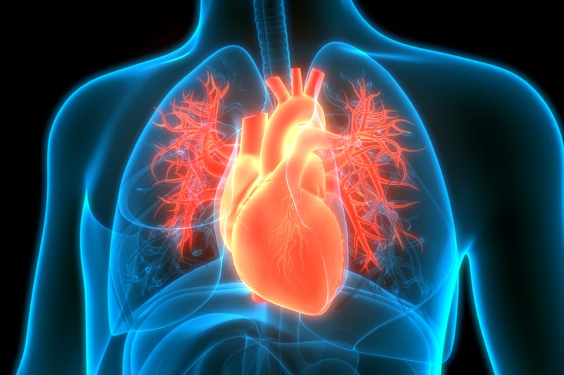 Heart Healling New $25 million Penn center aims to advance precision therapies for ...
