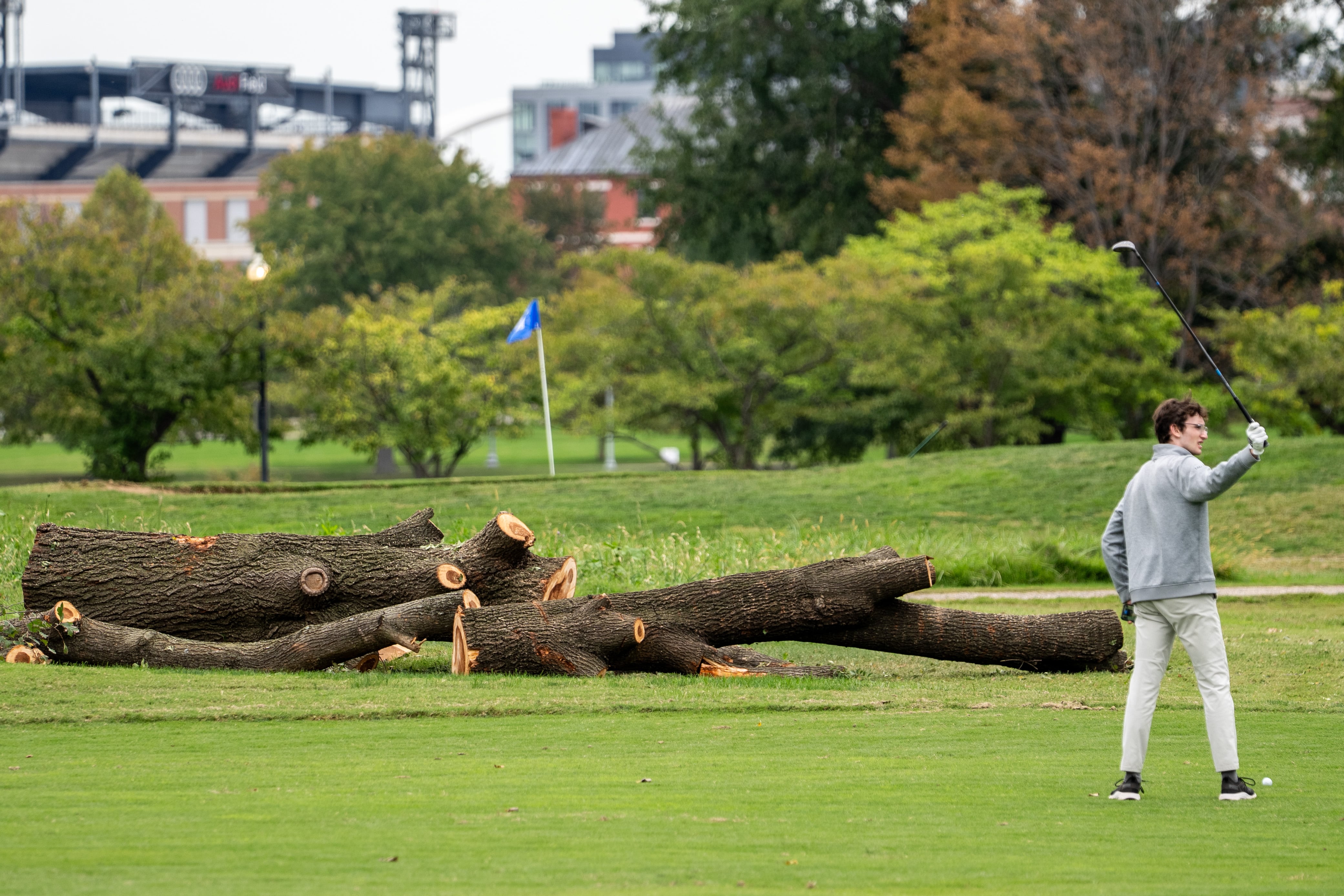 Park service could remove more than 500 trees at historic golf course Trump wants to redesign