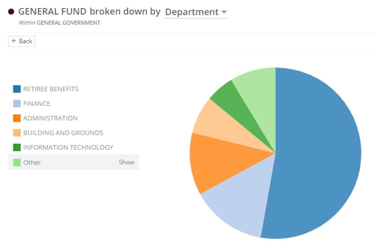 Screenshot of Radnor Township's interactive online budget tool.