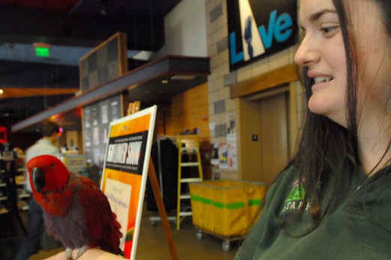 Ruby, an Eclectus parrot, helped introduce the Flower Show with handler Danielle Quaglia of the Philadelphia Zoo.