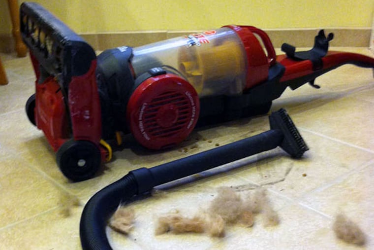 Marie McCullough is frustrated becuase replacing her dead, 8-year-old Hoover would be time-consuming, angst-ridden, and annoying. (Marie McCullough/Staff)