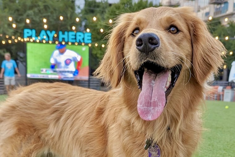 Fetch Park, which opened in Atlanta in 2018, is opening a branch in Manayunk.