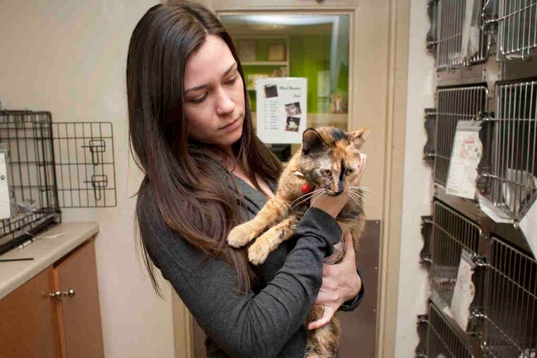 Spokeswoman Justina Calgiano with an adoptee at the Delaware County SPCA in Media, which will be shifting its focus this year. The shelter has already turned away a number of strays.