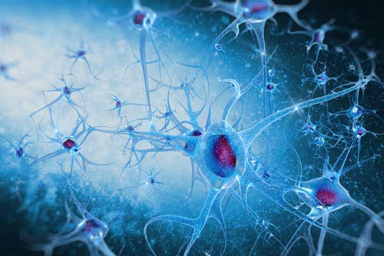 Researchers have discovered a defect in a key cell-signaling pathway they say contributes to both overproduction of toxic protein in the brains of Alzheimer's disease patients as well as loss of communication between neurons.