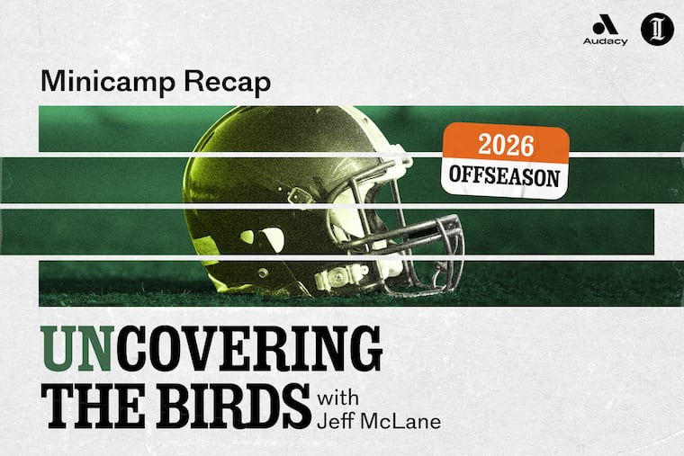 unCovering the Birds: Minicamp Recap