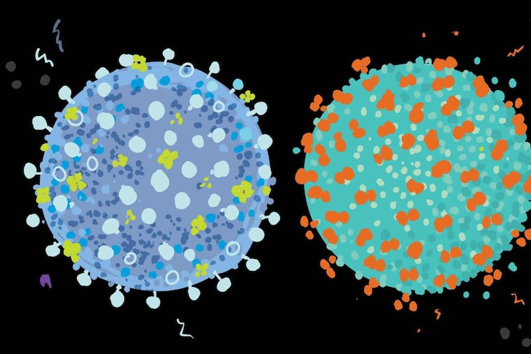 Don't call it flurona, but yes, a person can be infected with influenza (left) and the coronavirus at the same time.