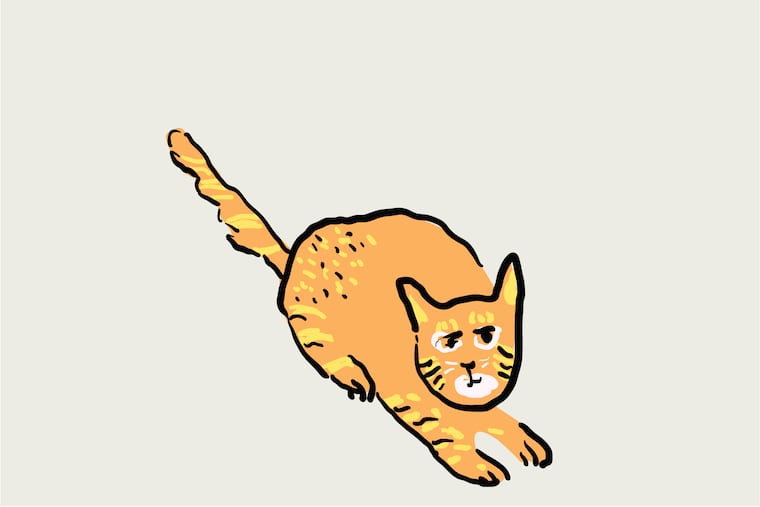 In an emergency, here are some places to turn.