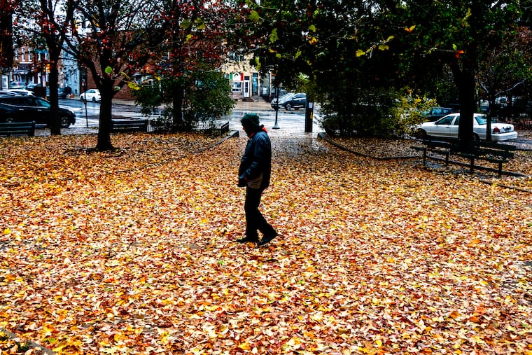 Heavy rains and wind create a carpet of fallen leaves in Port Richmond’s Campbell Square on Thursday.