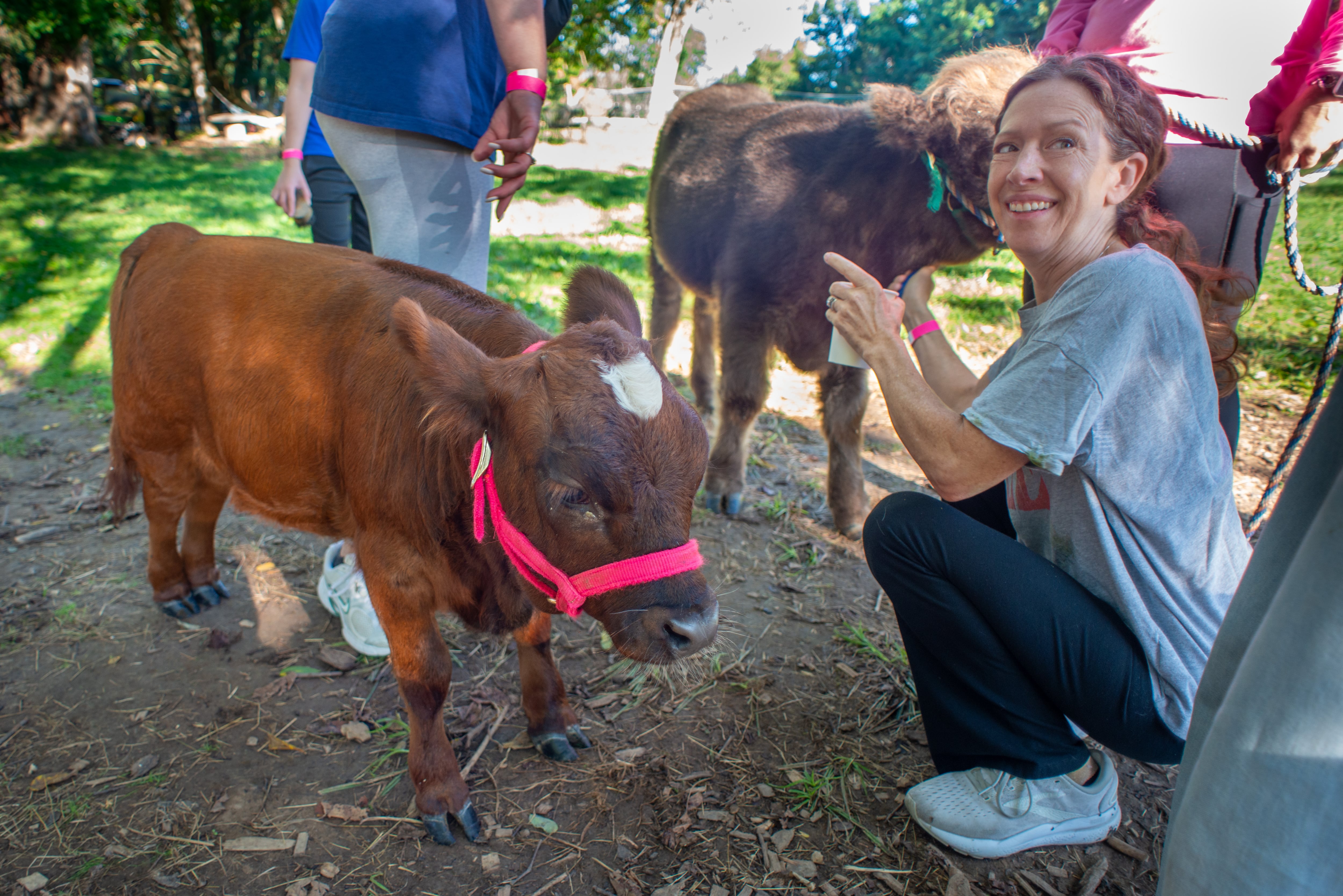 Coffee with a side of cow nuzzles | Let’s Eat