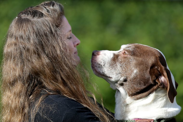 Susan Russell, the new ACCT Philly executive director, bonds with Bobby at the animal shelter in Feltonville.