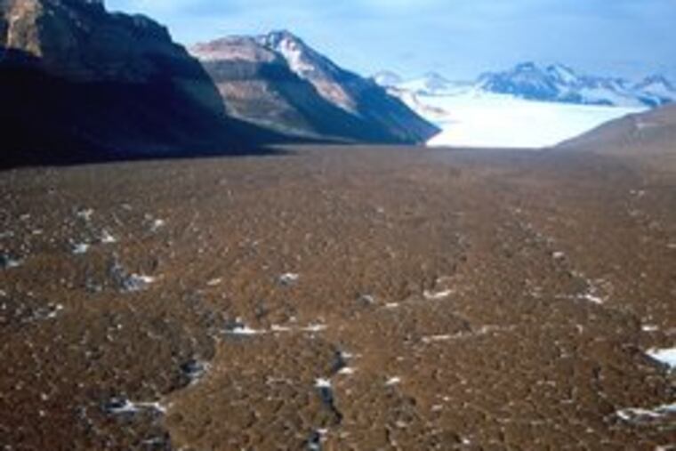 Microorganisms were found in ice collected in Antarctica, an environment believed to resemble the surface of Mars.
