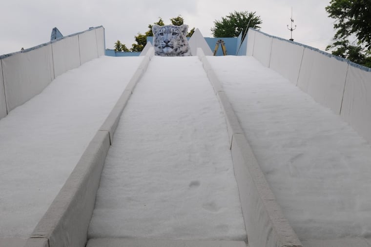 The sledding hill at the Philadelphia Zoo’s new “Winter” exhibit ( RAYMOND W HOLMAN JR / For the Inquirer )