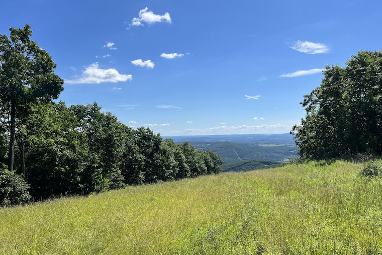 A view looking out from Miller Mountain in Wyoming County, Pa. Pennsylvania acquired the 2,500 acre mountain in December, 2023 as part of a $5 million purchase mostly funded by Williams, an energy company.