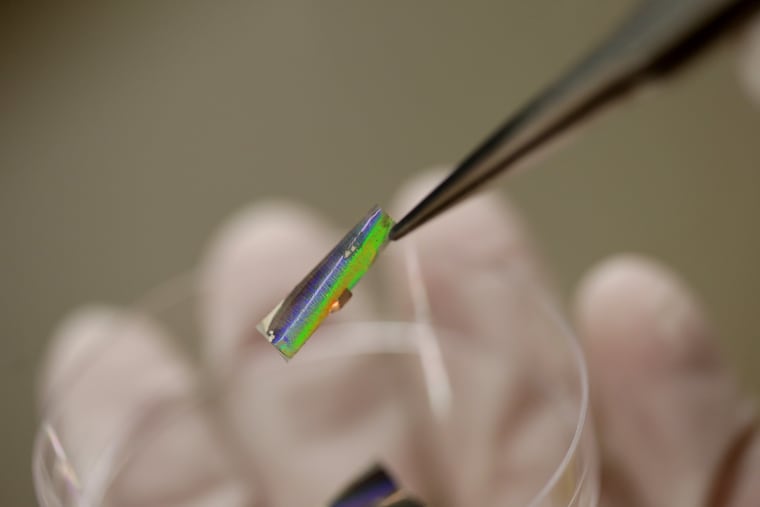 James Pikul holds a sample of "metallic wood" in his engineering lab at the University of Pennsylvania.