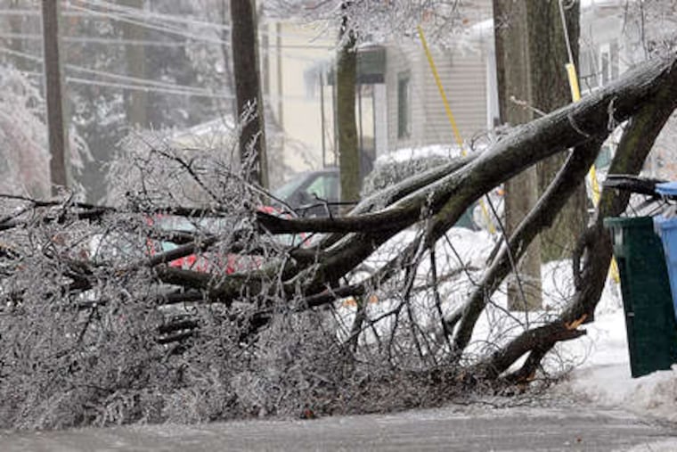 Two girls walk around a downed tree in Lansing, Mich.