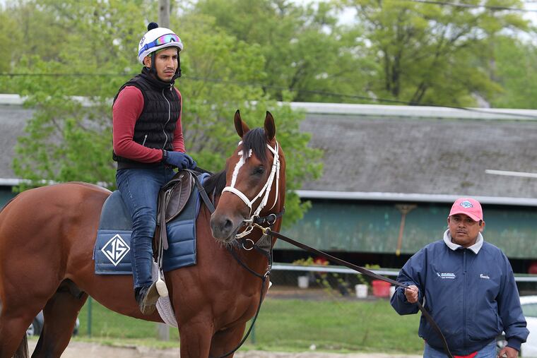 Maximum Security, with exercise rider Edelberto Rivas aboard, is held by assistant trainer Jose Hernandez, at Monmouth Park in Oceanport, N.J. in May