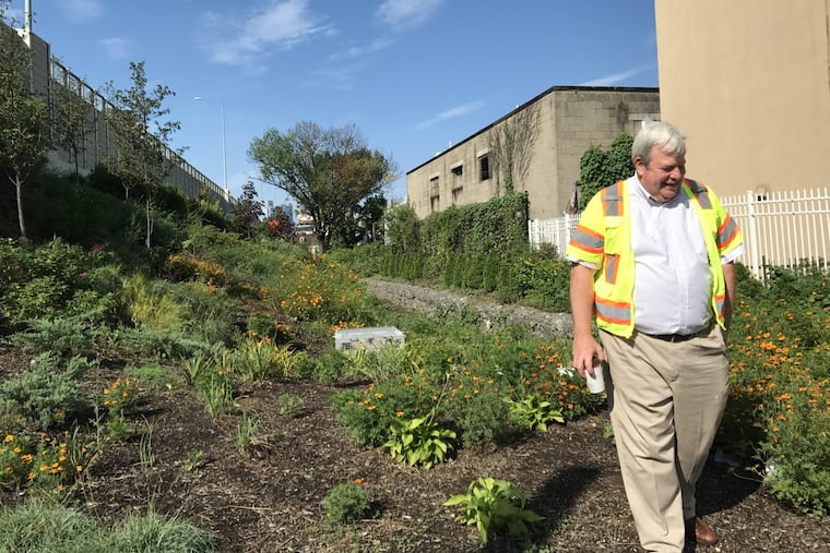 PennDot, Villanova, and Temple are collaborating on a project to install rain gardens as a way of preventing stormwater runoff from the I-95 expansion from flowing into the city’s overtaxed system. Villanova Professor Robert Traver inspects one of them.